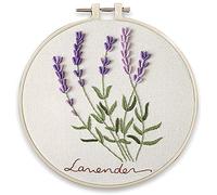 Awesocrafts Kit de broderie pour débutants adultes et enfants Motif écureuil Lavande