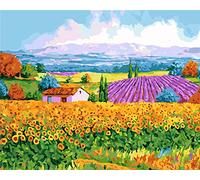 Awesocrafts Kit de peinture par numéro, champs dorés de Provence pour adultes et enfants, 40,6 x 50,8 cm, encadré ou non (paysage, sans cadre)