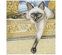 Awesocrafts Point de Croix Kit Complet Estampé, Chat à poils courts Estampillé 14CT 2 brins 37×41cm Broderie Point de Croix Imprimé