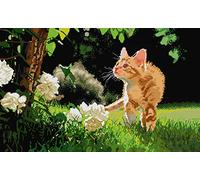 Awesocrafts Point de Croix Kit Complet Estampé, Chaton sur l'herbe chat Estampillé 14CT 2 brins 60×41cm Broderie Point de Croix Imprimé