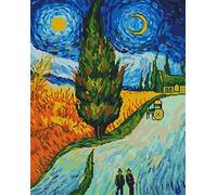 Awesocrafts Point de Croix Kit Complet Estampé, Chemin de Cyprès de Vincent Van Gogh Estampillé 11CT 3 brins 48×58cm Broderie Point de Croix Imprimé