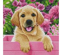 Awesocrafts Point de Croix Kit Complet Estampé, Chien Labrador Chiot Labradoodle Estampillé 11CT 3 brins 36×36cm Broderie Point de Croix Imprimé