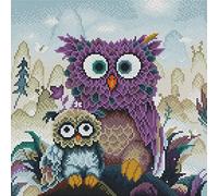 Awesocrafts Point de Croix Kit Complet Estampé, Hibou Oiseaux Hiboux Estampillé 11CT 3 brins 36×36cm Broderie Point de Croix Imprimé