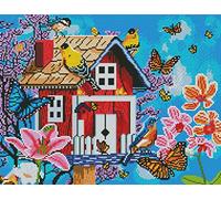 Awesocrafts Point de Croix Kit Complet Estampé, Oiseau et papillon Estampillé 11CT 3 brins 40x50cm Broderie Point de Croix Imprimé