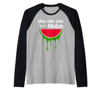 Awesome Summer Pet Cat Fruits One in a Melon Watermelon Manche Raglan