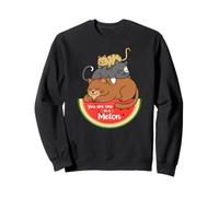 Awesome Summer Pet Cat Fruits One in a Melon Watermelon Sweatshirt