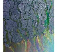 ALT-J – An Awesome Wave – CD