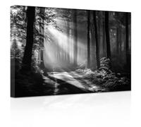 awitufhgp Tableau en noir et blanc représentant une forêt ensoleillée, un arbre et un paysage naturel, imprimé sur toile (60 x 120 cm, avec cadre), idéal pour le salon.