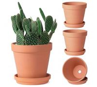 AwnsIMfreien Pot en Argile, 3 Pots en Terre Cuite, Pot de Plante d'intérieur de 6 Pouces avec Trou Drainage et Soucoupe Fleur en céramique Classique pour Herbes, Petites Plantes, Plante d'intérieur