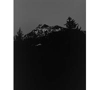 Awoiska Van Der Molen - The Living Mountain