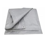AWTOOLS Toile en Argent 120 g 5 x 6 m