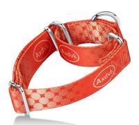 Axdvk Martingale - Collier pour chien coloré dégradé tendance - Collier anti-fuite, doux et durable pour la marche, le dressage en plein air, usage quotidien, taille L, feu d'aurore