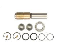 FAG (Schaeffler) Kit d'assemblage 830 0008 30 pivot de fusée d'essieu