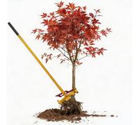 AXGCAA Extracteur de Racines d'arbre, extracteur de poteaux Debout Robuste avec poignée réglable à 3 Positions et 4 Pinces réglables, Outil d'élimination des Mauvaises Herbes/gaules/souches en métal