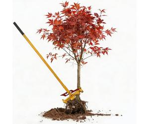 AXGCAA Extracteur de Racines d'arbre, extracteur de poteaux Debout Robuste avec poignée réglable à 3 Positions et 4 Pinces réglables, Outil d'élimination des Mauvaises Herbes/gaules/souches en métal