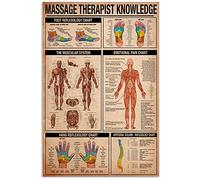 AXHNG Affiche vintage en aluminium avec infographie de référence de massage, thérapeute, connaissances, lecture, salons de massage, 30,5 x 40,6 cm, décoration murale