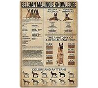 AXHNG Affiche vintage en métal et aluminium avec inscription « Knowledge Garden » des Malinois belges - Décoration murale 30,5 x 40,6 cm
