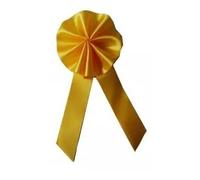 Axho COCARDE CONSCRIT Jaune 18CM