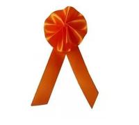 Axho COCARDE CONSCRIT Orange 18CM
