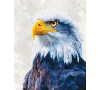 AxiangziK 11CT Diy Canevas Et Broderie Portrait D'Aigle Kits De Point De Croix Pour Adultes, Ensemble De Broderie Pré-Imprimé, Kit De Bricolage Pour La Décoration Intérieure 30x40cm