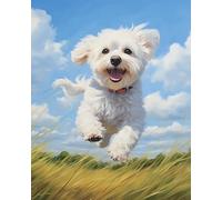 AxiangziK animal chien bichon frisé canevas kit complet adulte,ciel prairie,imprimé broderie point de croix,11CT point de croix kit complet pour art décoration,40x50cm