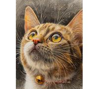 AxiangziK Animal Diy Création De Tapis Et Canvas Portrait De Chat Kits De Tapis Au Crochet Pour Débutants，Kit De Crochetage，Décoration D'Intérieur 39x55in