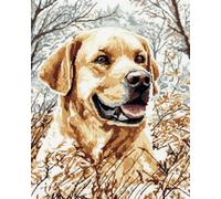 AxiangziK Animal Diy Kit Tricot Debutant Tapis Chien De Dessin Animé Kits De Fabrication De Tapis Diy Pour Débutants，Ensemble De Tapisserie，Coussin À Broder，Paillasson，Cadeau 35x46in