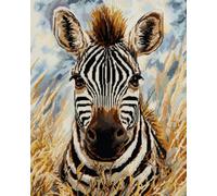 AxiangziK Animal Diy Tapis Kit Crochet Debutant Portrait De Zèbre Kit De Tapis À Faire Soi-Même，Broderie Au Crochet，Toile Imprimée，Décoration D'Intérieur 39x55in