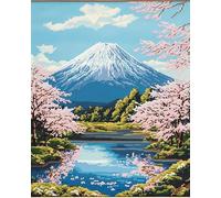 AxiangziK Broderie Point de Croix Canevas Kits 11CT,Paysage du parc du Mont Fuji au Japon,Adulte Debutant Pré Imprimé Point de Croix Kit Complet DIY Décoration d'intérieur,40x50cm