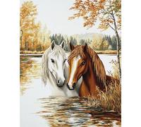 AxiangziK Canevas Et Broderie Kit De Point De Croix 11CT Couple d'animaux Cheval,Pré-Imprimé Point De Croix Bricolage Art Aiguilles Kits De Broderie Pour Adul,40x50cm