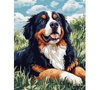 AxiangziK chien Broderie Point de Croix Canevas Kits 11CT,Paysage de prairie de bouvier bernois,Adulte Debutant Pré Imprimé Point de Croix Kit Complet DIY Décoration d'intérieur,40x50cm