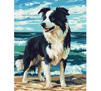 AxiangziK chien Kit Broderie Point de Croix Compté Pré Imprimé,border collie,Canevas Broderie Point de Croix Kit Complet Adulte Debutant,fil de coton 11CT,40x50cm