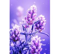 AxiangziK DIY Cross Stitch Kit fleurs violettes 11CT 30x40cm