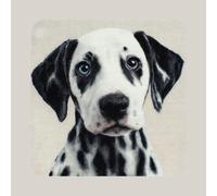 AxiangziK Kit De Crochet À Loquet Coussin,Chien animal Dalmatien,Kit Fabrication Taie d'oreiller Coussins Tapis de broderie,Crochet pour Adultes,43x43cm