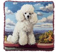 AxiangziK Kits de loquet à crochet 3D,Animal Chien Caniche,Kit de Coussin avec Crochet à Loquet,broderie au point de croix pour canapé et enfants et adultes,43x43cm
