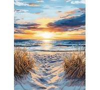 AxiangziK paysage au coucher du soleil Kit de point de croix Bricolage,plage en bord de mer,kit de démarrage de broderie pré -imprimée canevas kit complet adulte ou enfants,40x50cm