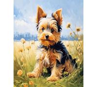 AxiangziK point de croix kit complet debutant adulte Chien Yorkshire Terrier,Fleurs et herbe,kit point de croix Broderie,DIY Arts Crafts Motif pré-imprimé,40x50cm