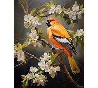 AxiangziK Point de Croix Kit Complet Estampé,Oiseau Oriole sur la branche,Broderie Point de Croix Kit Complet Adulte Debutant,Easy Set Loisirs CréAtifs Broderie,40x50cm