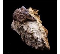 Axinite. 361.0 Ct. La Balme D'auris, Bourg D'oisans, Isère, France..