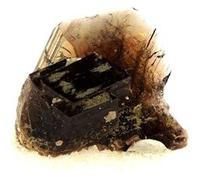 AXINITE - Pierre Naturelle en provenance des Etats-Unis, Calaveras Co., Californie - Cristaux replaçés, collection de minéraux - 63.5 ct - Certificat d'Authenticité Inclus 21 x 17 x 12 mm G