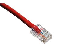 Axiom 6 ft cat6 uTP 1.8 m Cat6 U/UTP (UTP) Rouge - Câble de réseau (RJ-45, RJ-45, Mâle/Mâle, Or, Cat6, U/UTP (UTP))