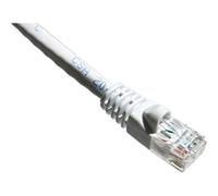 Axiom Cat6a 10ft - câbles de réseau (RJ-45, RJ-45, Mâle/Male, Or, 10GBase-T, Cat6a)