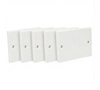 Axiom Plaque vierge plate unique/double Standard, blanche, pour prises et interrupteurs, blanc (Double (2 fixations), lot de 5)