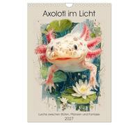 Axolotl im Licht. Lurche zwischen Blüten, Pflanzen und Fantasie (Wandkalender 2027 DIN A4 hoch), CALVENDO Monatskalender: Die stille Magie der Axolotl in zarten Aquarellwelten