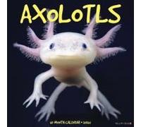 Axolotls 2026 Wall Calendar