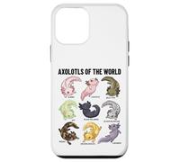 Axolotls of The World Axolotl Morphs Chart Art éducatif Coque pour iPhone 12 Mini