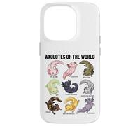 Axolotls of The World Axolotl Morphs Chart Art éducatif Coque pour iPhone 14 Pro
