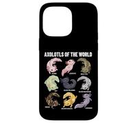 Axolotls of The World Axolotl Morphs Chart Art éducatif Coque pour iPhone 14 Pro Max