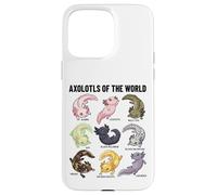 Axolotls of The World Axolotl Morphs Chart Art éducatif Coque pour iPhone 15 Pro Max