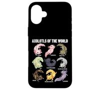 Axolotls of The World Axolotl Morphs Chart Art éducatif Coque pour iPhone 16 Plus